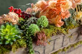 Идеи декора с использованием декоративно-цветущих растений