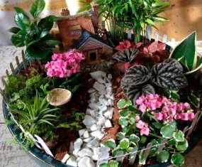 Как создать мини-огород из комнатных декоративных растений