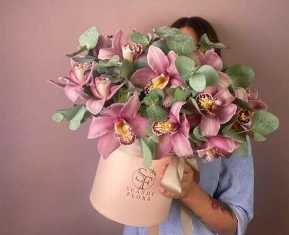 Орхидеи: изысканные цветы для элегантного декора