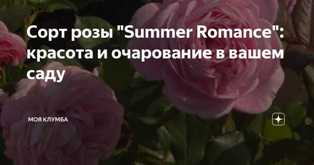 Розы: романтическая и изысканная красота в вашем доме
